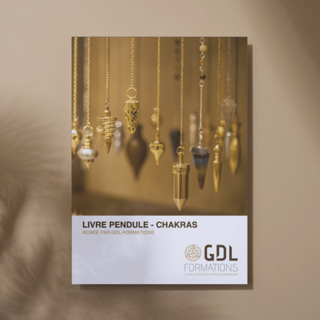 Livre pour chakras mockup